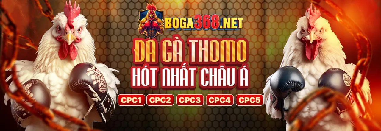 Hình ảnh đại diện cho cờ bạc có trách nhiệm, thể hiện sự cân bằng và an toàn tại longfu88 link mới